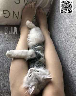 真实兄妹电影免费观看_HD免费观看韩国