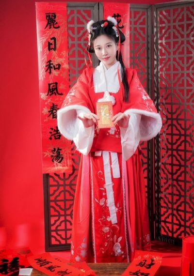 城寨英雄国语免费全集在线观看_英文版字幕
