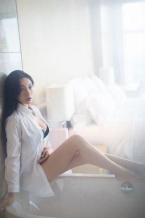 同盟 电视剧_720免费在线观看