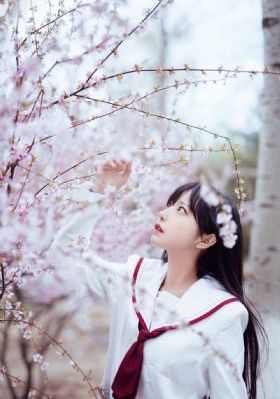 妻中蜜动漫在线观看_4K电影完整版在线观看